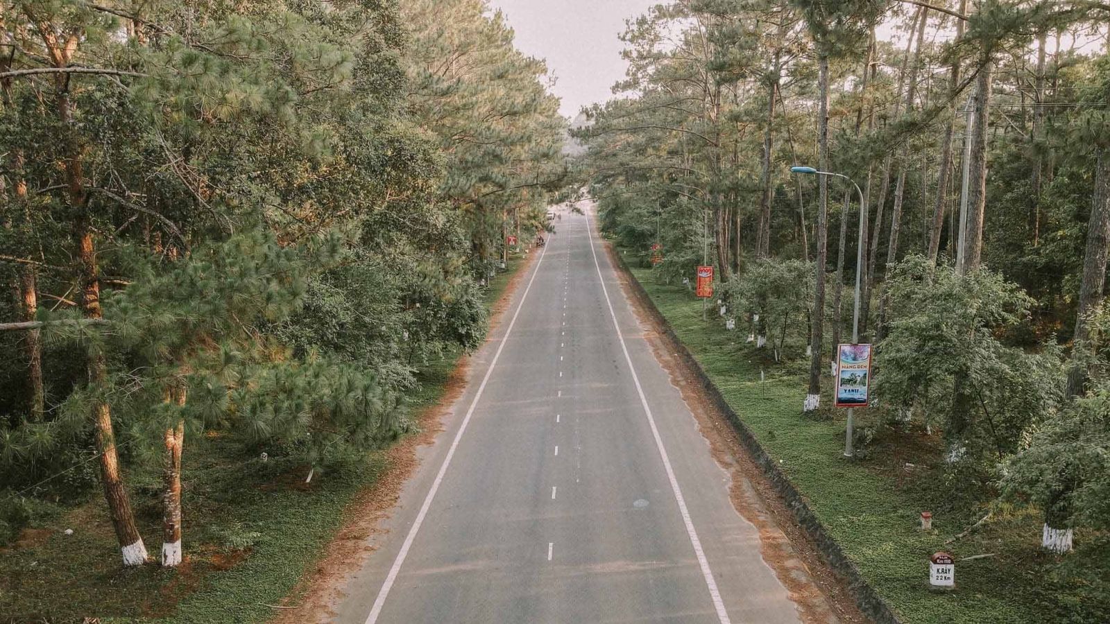 rừng thông Măng Đen