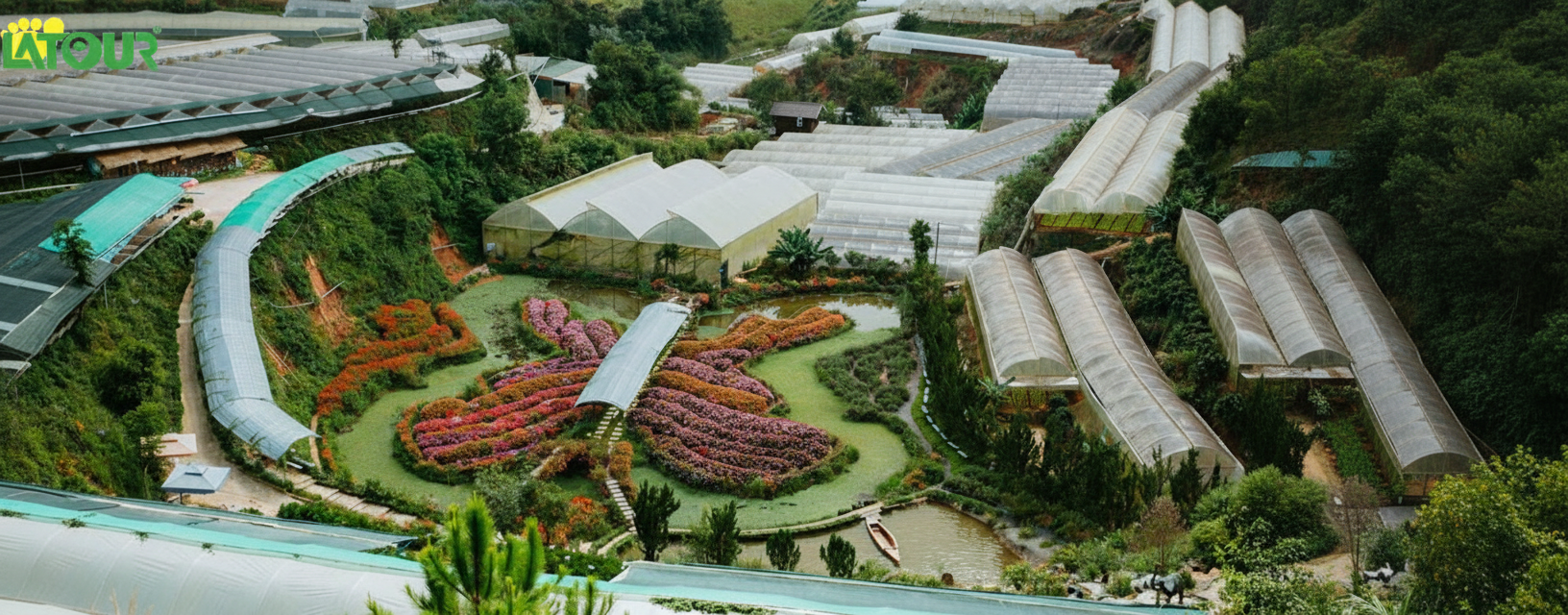 Thung Lũng Hồng Đà Lạt Thung Lũng Hồng Đà Lạt