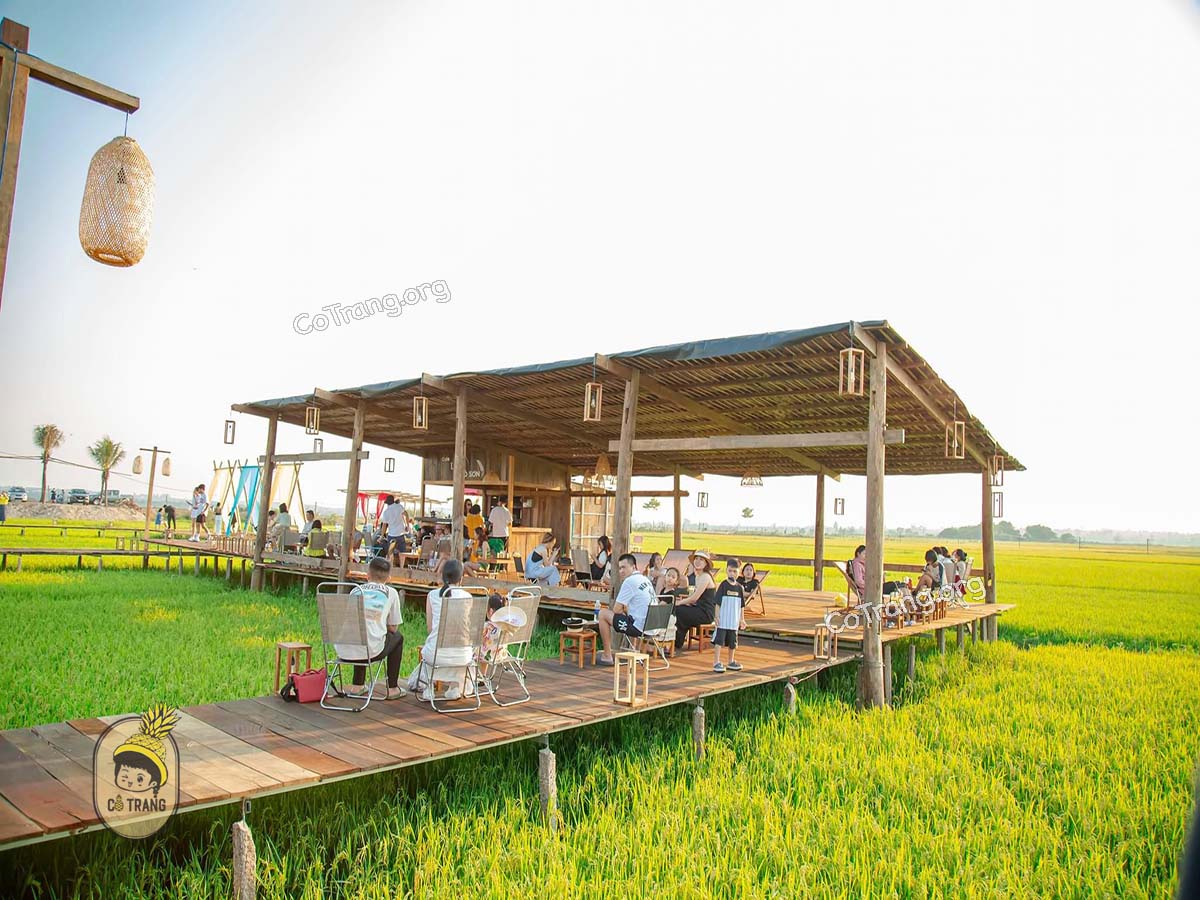 Cafe Lúa Ngô Sơn Gia Lai