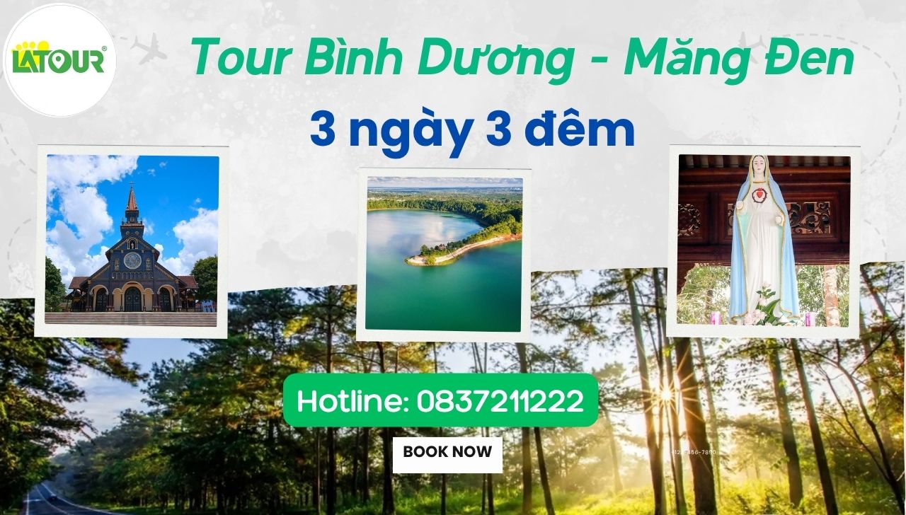 Tour Bình Dương Măng Đen 3 ngày 3 đêm