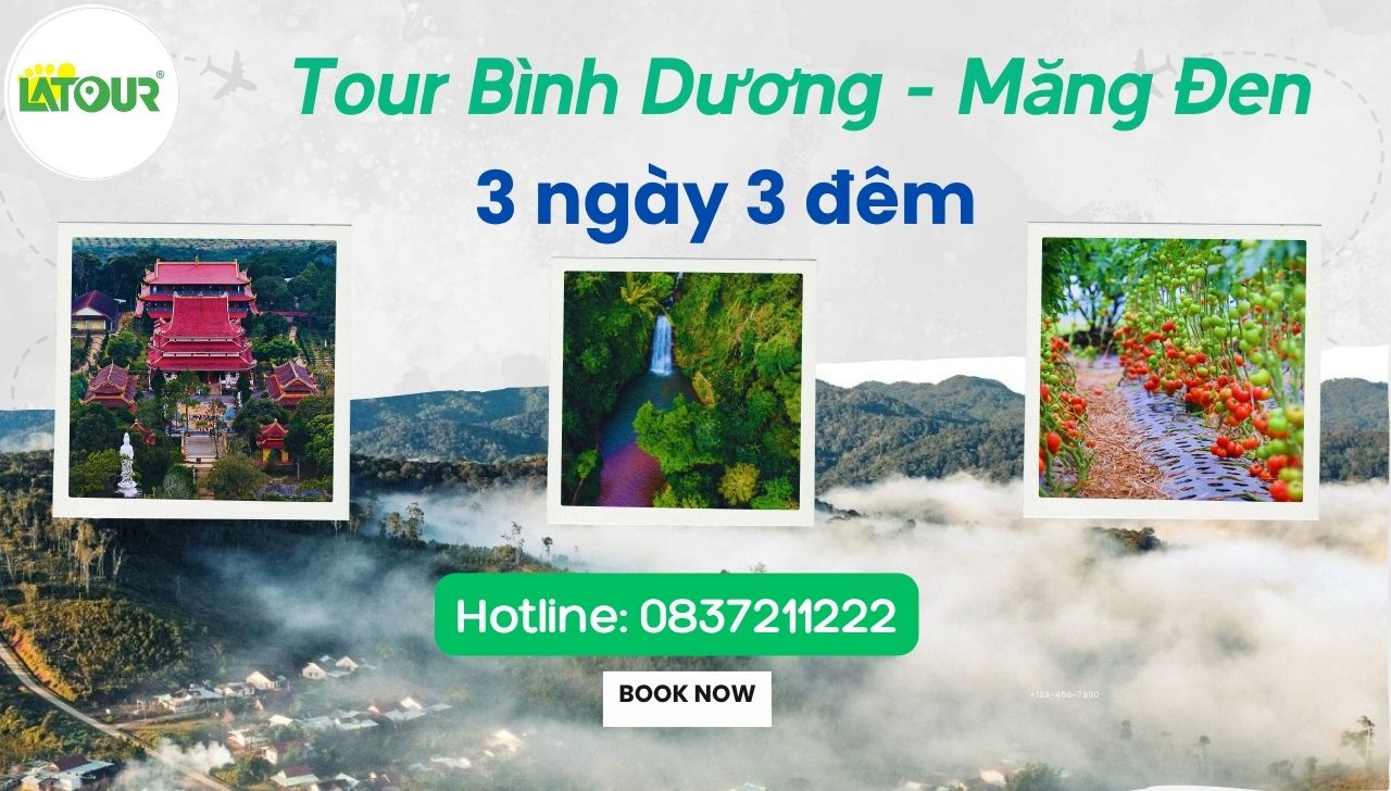 Tour Bình Dương Măng Đen 3 ngày 3 đêm ngày 3