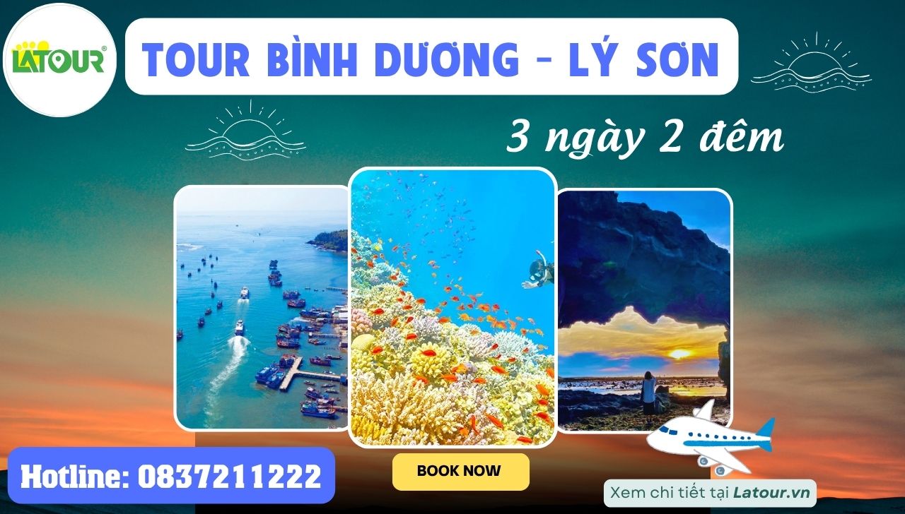 Tour Bình Dương - Lý Sơn 3 Ngày 2 Đêm
