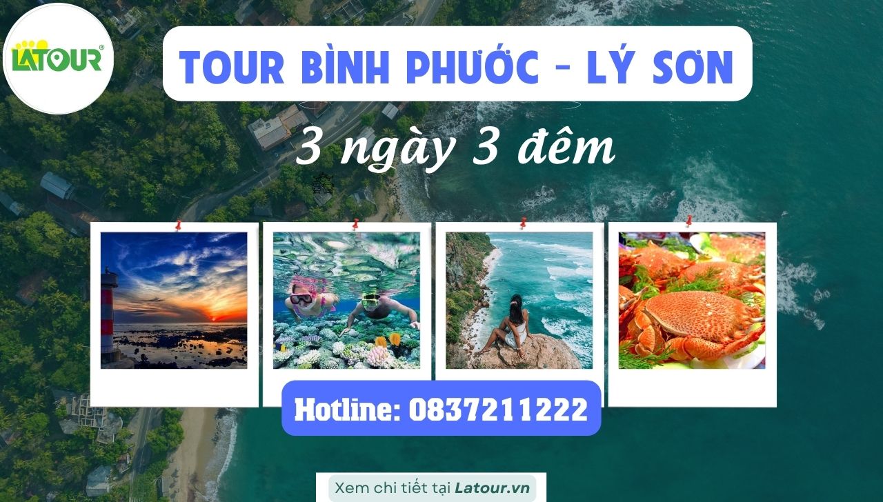 Tour Bình Phước - Lý Sơn 3 Ngày 3 Đêm