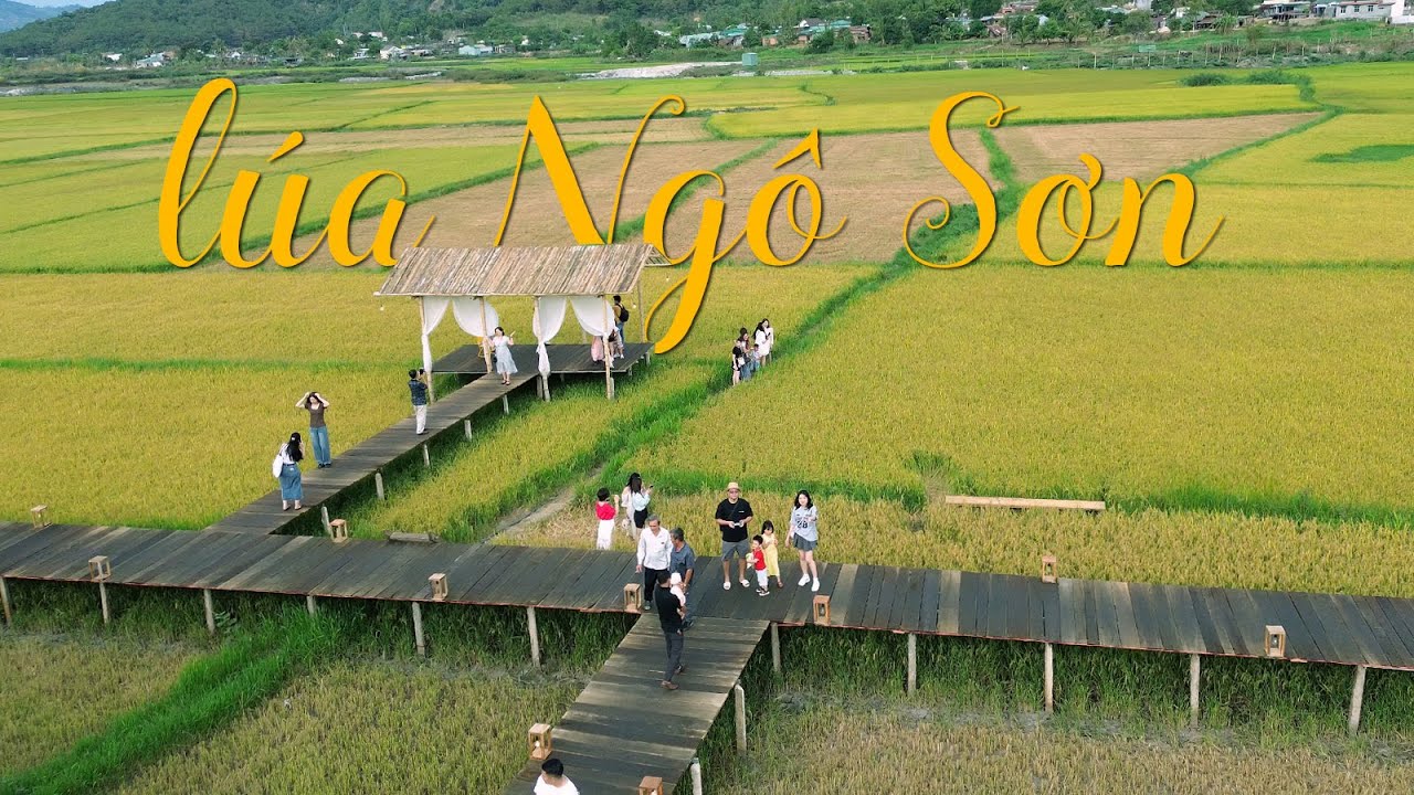 Cafe Lúa Ngô Sơn Gia Lai