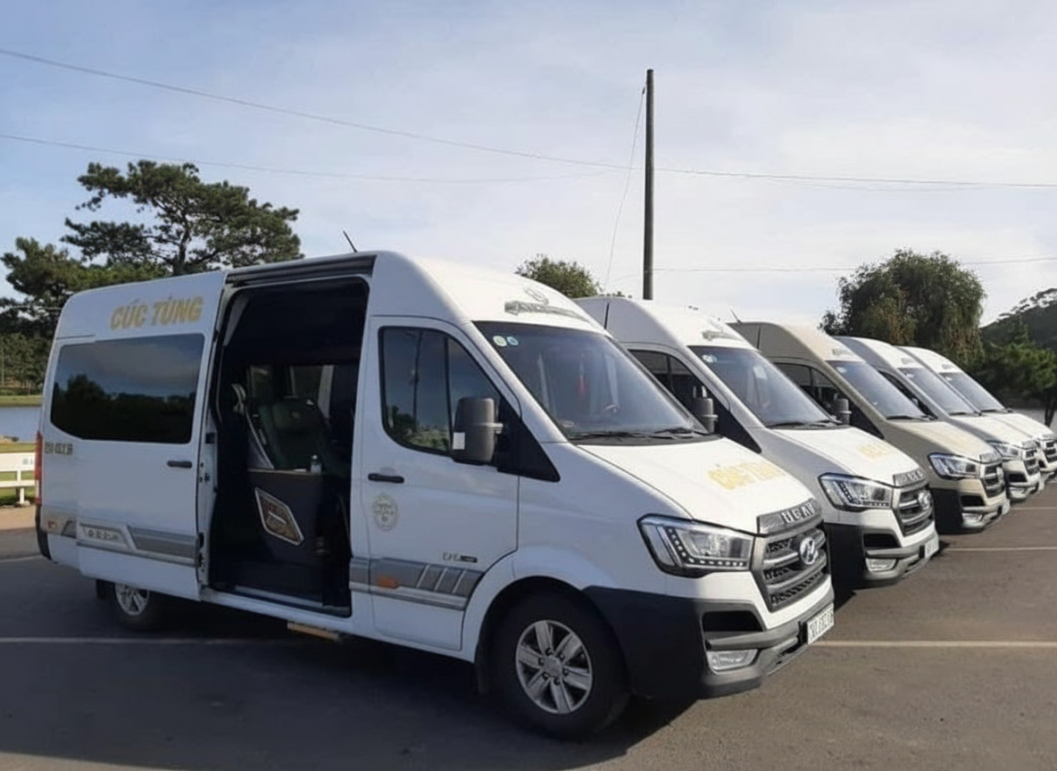 Cúc Tùng Limousine Cúc Tùng Limousine