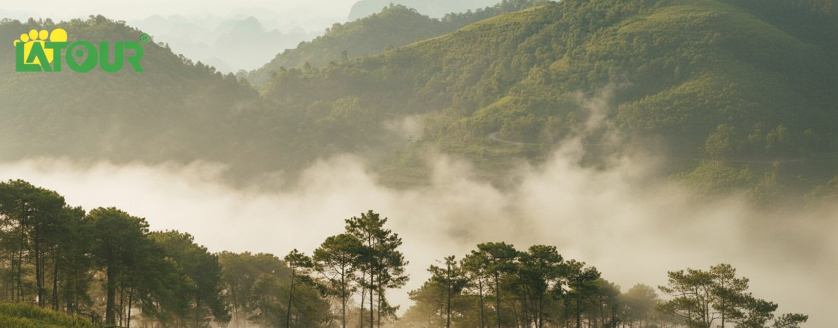 Đồi thông Diên Phú