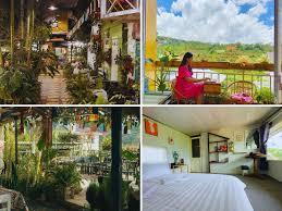 Gió Homestay Đà Lạt
