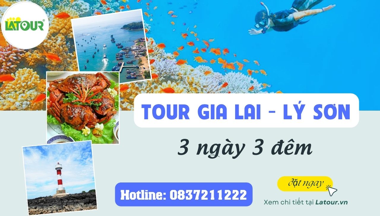 Tour Gia Lai - Lý Sơn 3 ngày 3 đêm