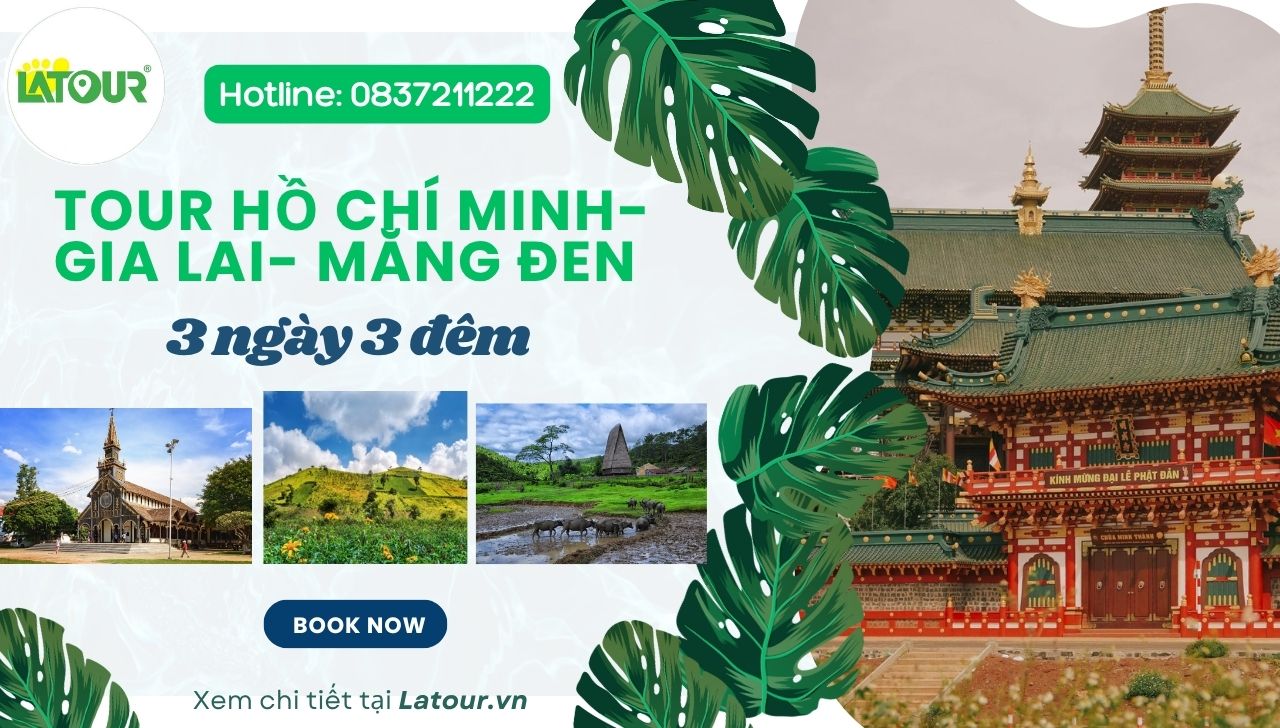 Tour Hồ Chí Minh Gia Lai Măng Đen 3 ngày 3 đêm ngày 1