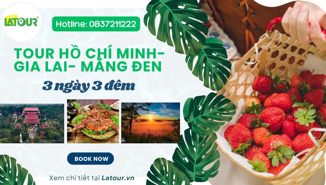 Tour Hồ Chí Minh Gia Lai Măng Đen 3 ngày 3 đêm ngày 3