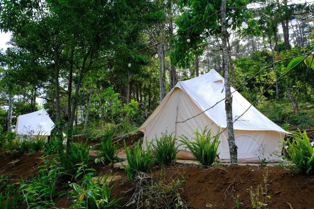 Cắm trại glamping Măng Đen Cắm trại glamping Măng Đen