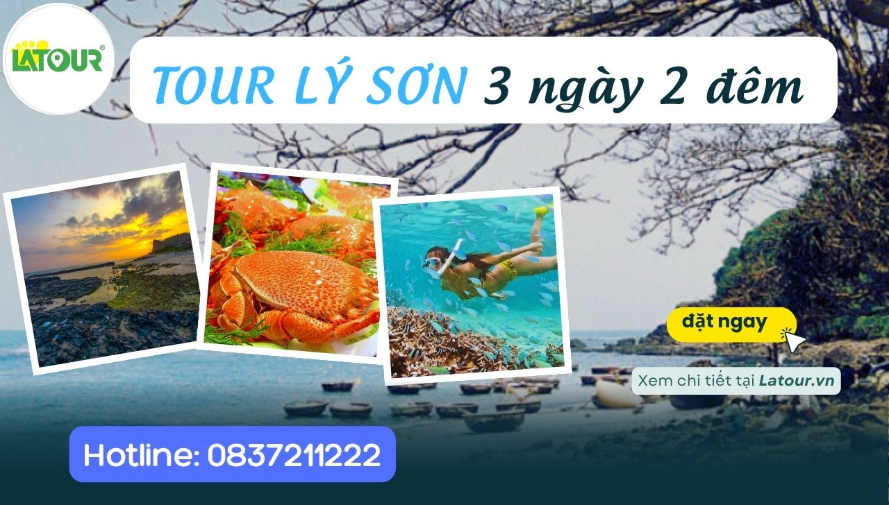 Tour Lý Sơn 3 Ngày 2 Đêm