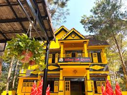 Măng Đỏ Quán Xã Măng Đen