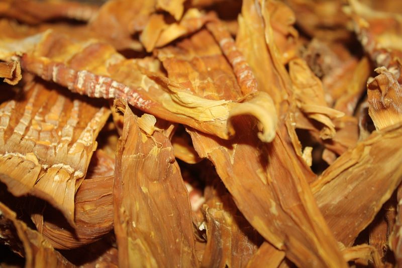 Măng khô/chua rừng
