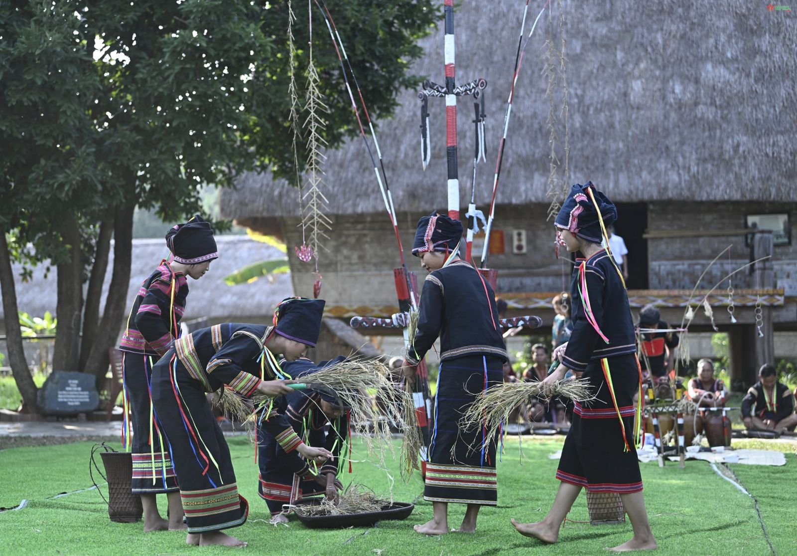 Nghi lễ ăn lúa mới Gia Lai