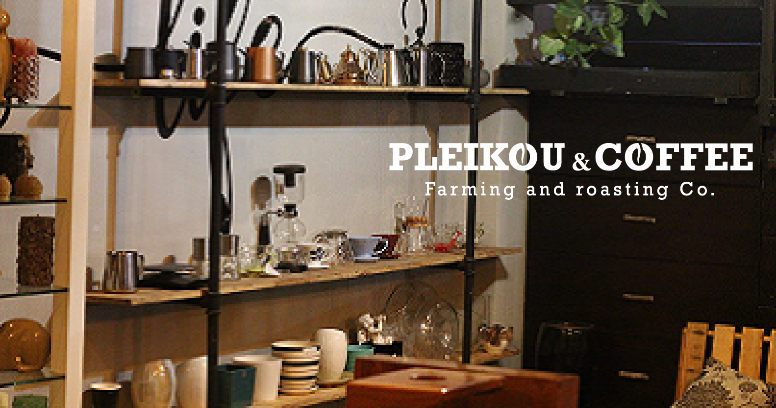 Pleikou Coffee