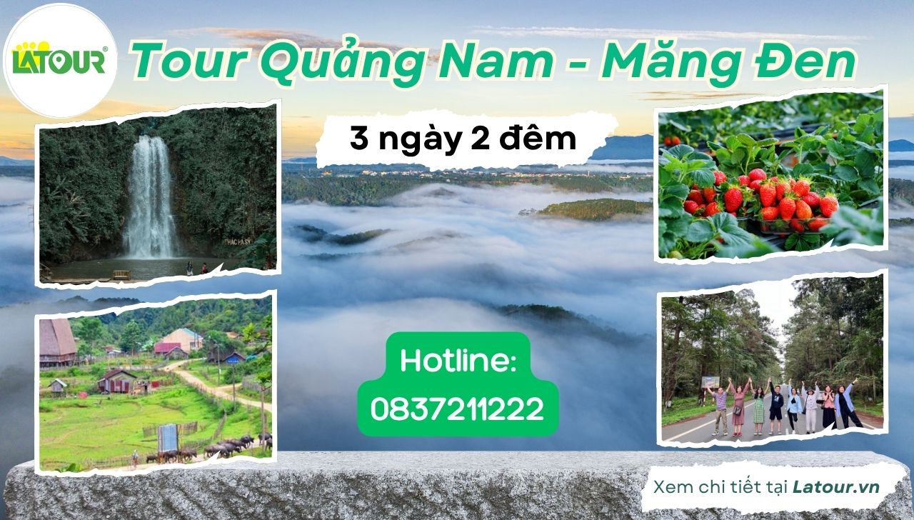 Tour Quảng Nam Măng Đen 3 ngày 2 đêm ngày 3