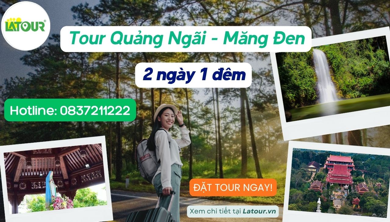 Tour Quảng Ngãi Măng Đen 2 ngày 1 đêm