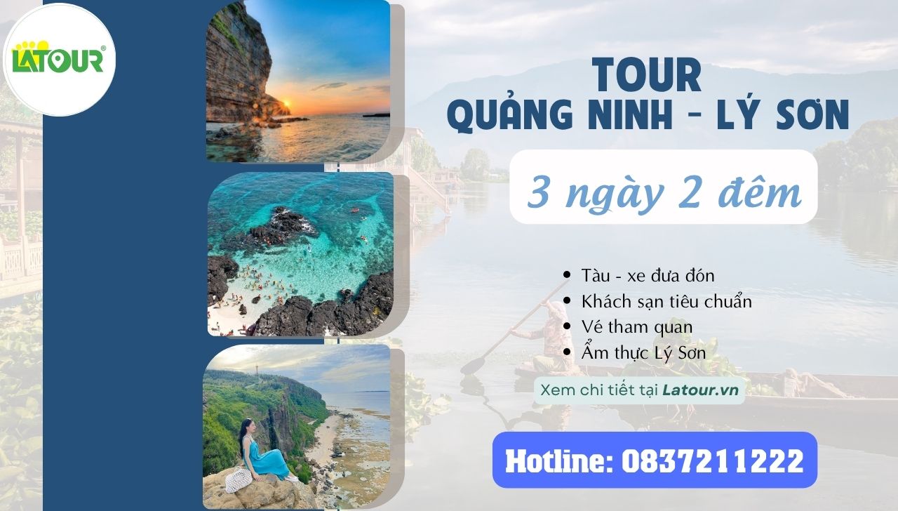 Tour Quảng Ninh - Lý Sơn 3 Ngày 2 Đêm