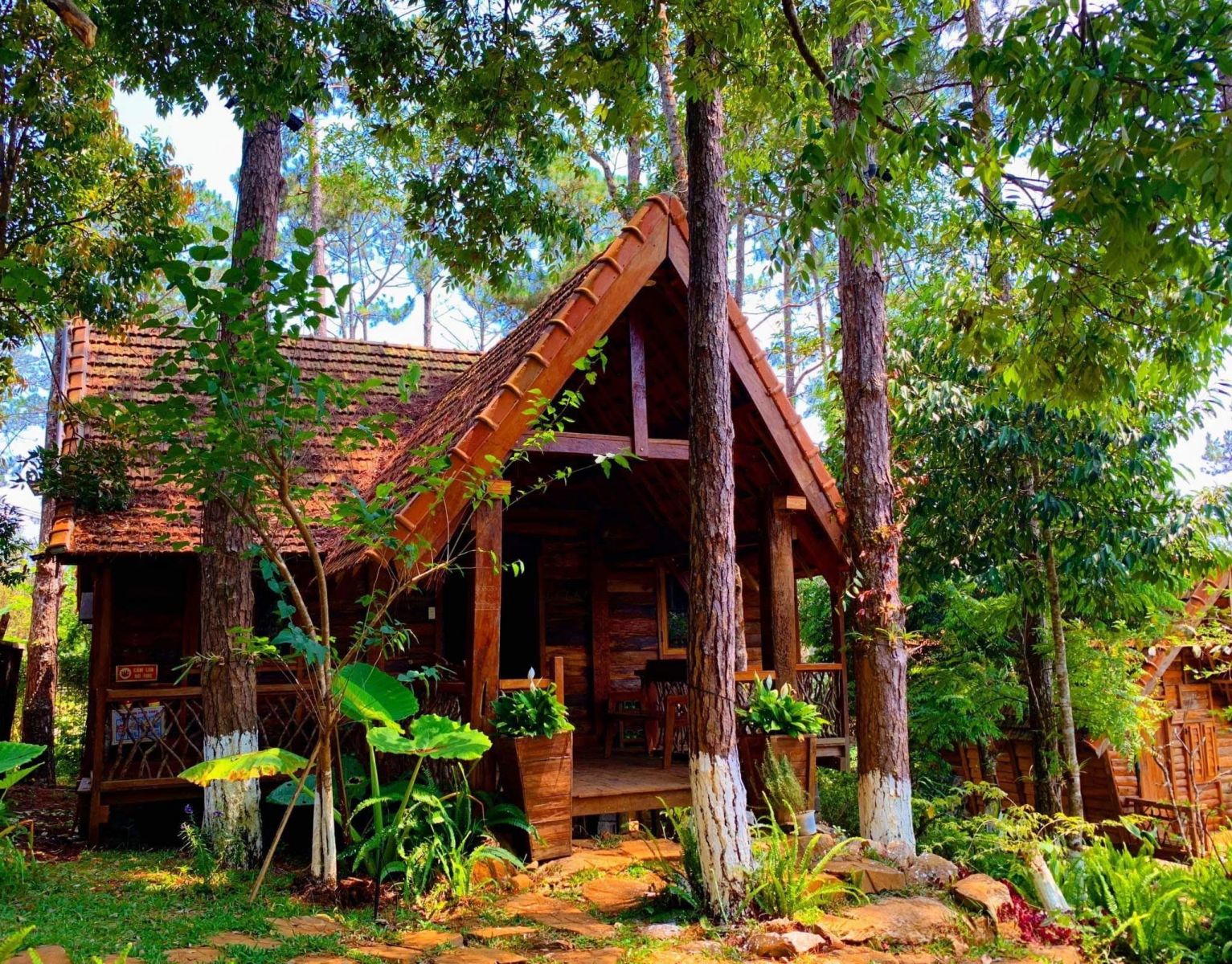 Sóc House Măng Đen