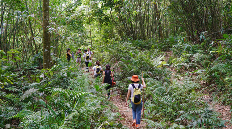 Trekking Vườn Quốc gia Kon Ka Kinh