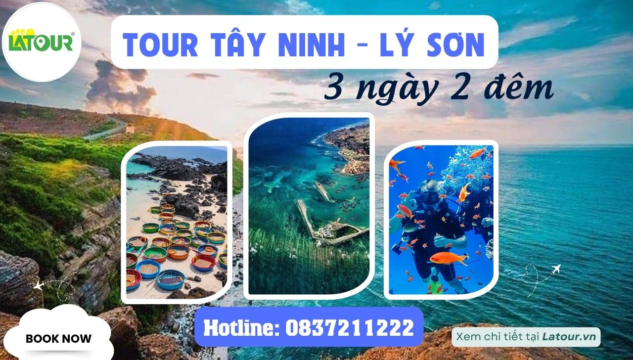Tour Tây Ninh - Lý Sơn 3 Ngày 2 Đêm
