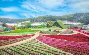 Thung Lũng Hoa Tà Nung