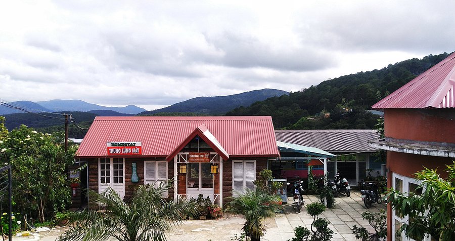 Thung Lũng Mây Homestay