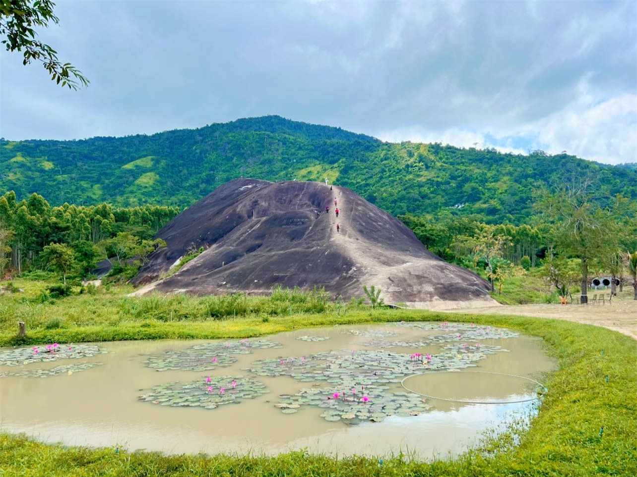 Đá Voi Mẹ Yang Tao