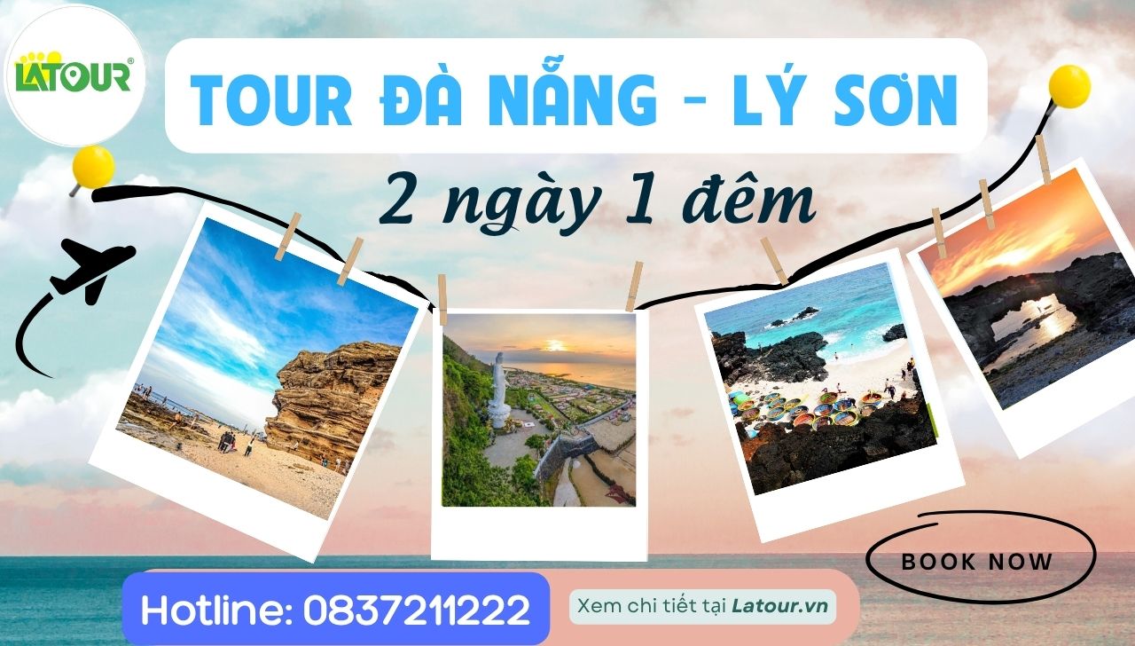 Tour Đảo Lý Sơn 2 ngày 1 đêm đi từ Đà Nẵng