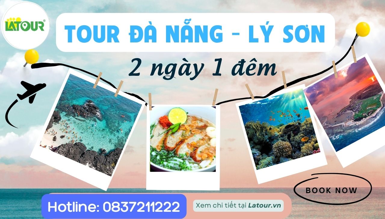 Tour Đảo Lý Sơn 2 ngày 1 đêm đi từ Đà Nẵng