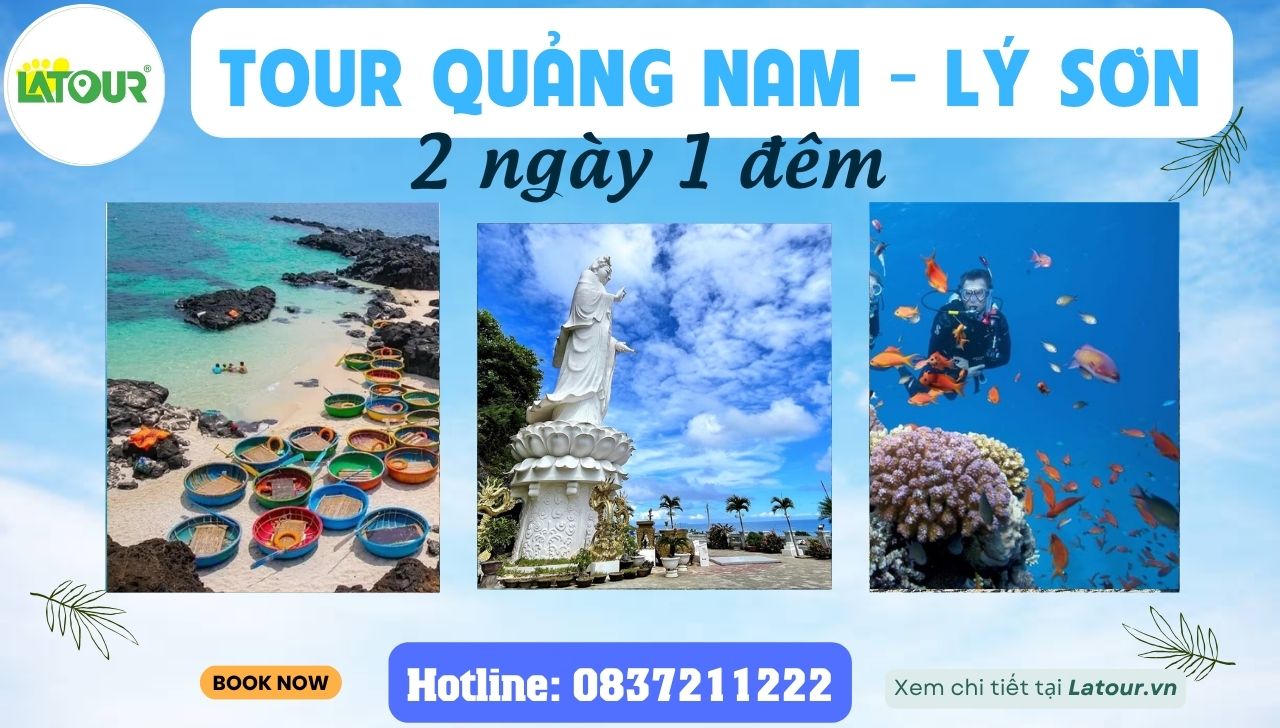 Tour Đảo Lý Sơn 2 ngày 1 đêm đi từ Quảng Nam