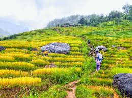 Trekking Kon Tum