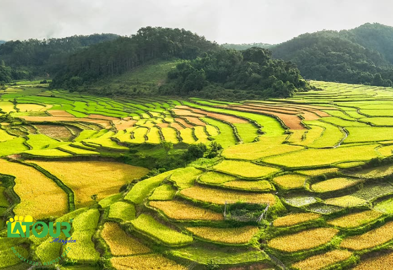 Măng Đen ở đâu? 