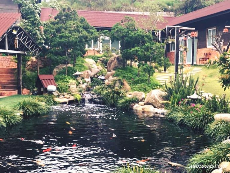 Cá Koi Homestay