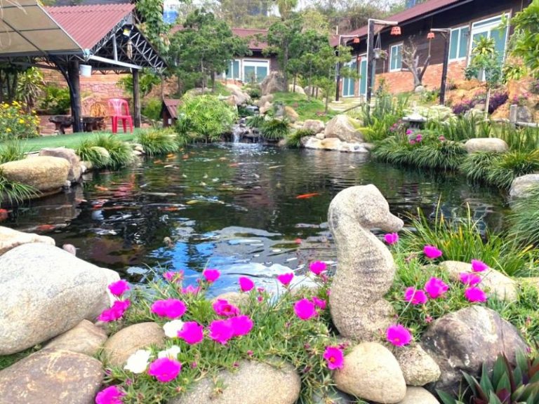 Cá Koi Homestay