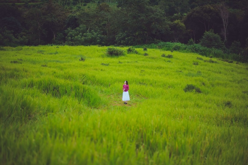 Đồi cỏ bông lau Măng Đen