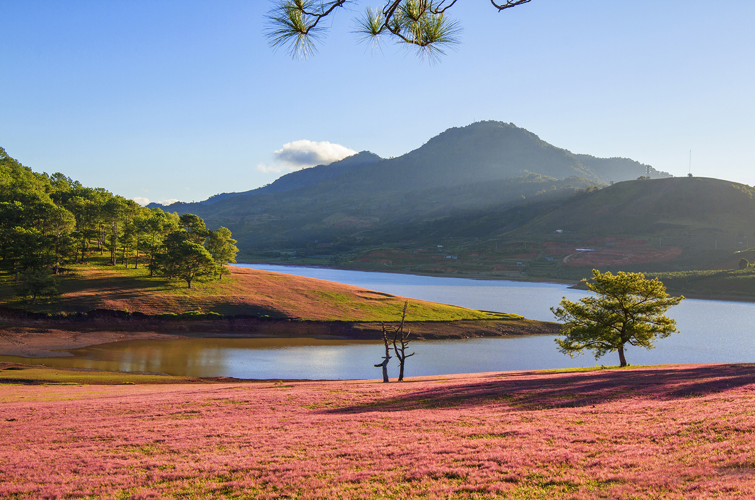 Hồ Suối Vàng Đà Lạt