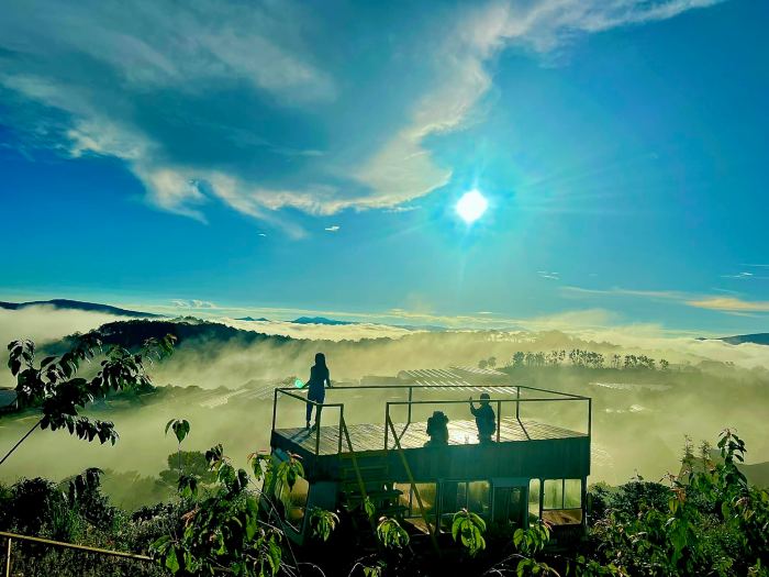 Đồi Mây Đà Lạt