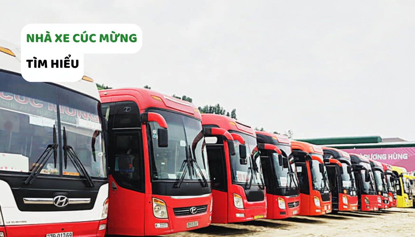 Cúc Mừng Limousine