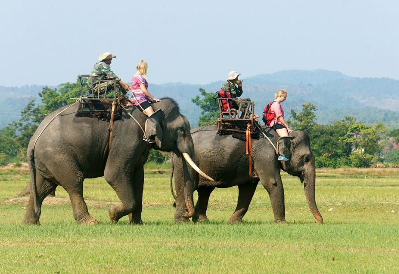 Những điểm hấp dẫn của tour mà Latour cung cấp