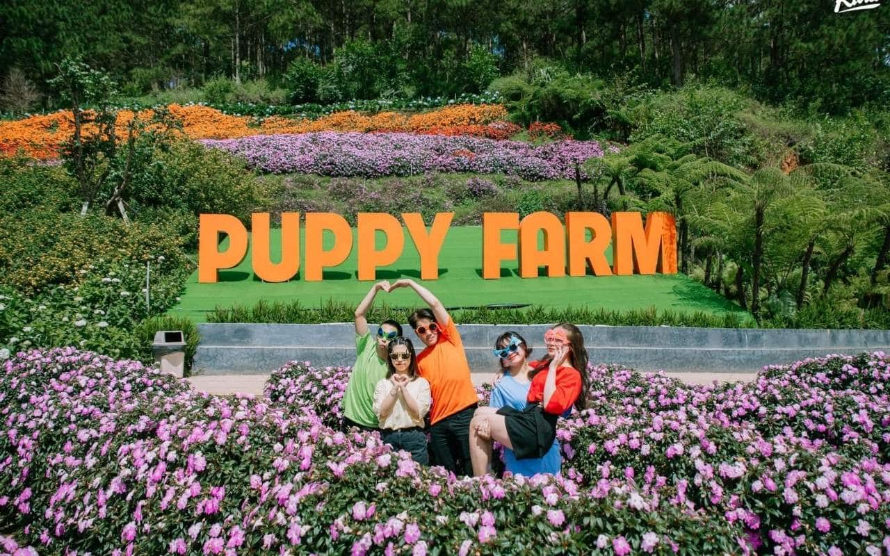 Puppy Farm (Nông trại cún)