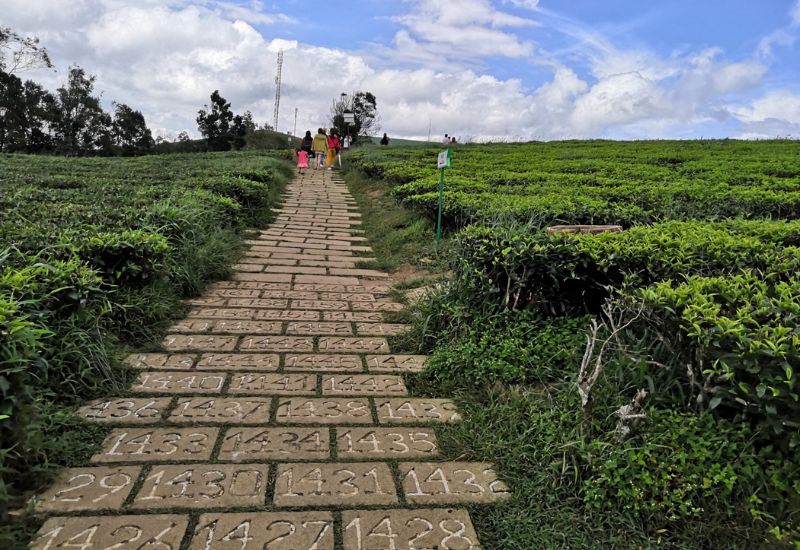 Những điểm hấp dẫn của tour mà Latour cung cấp