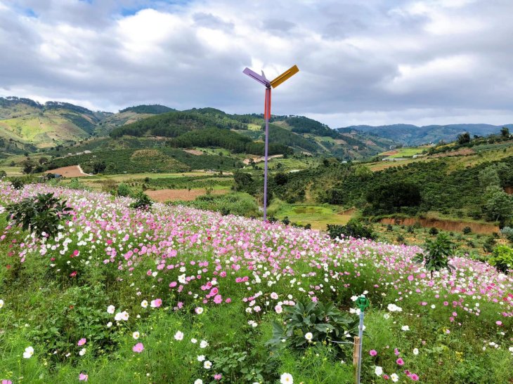 Thung Lũng Hoa Tà Nung