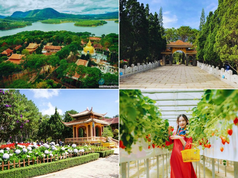 Tour Cà Mau đi Đà Lạt 3 ngày 2 đêm