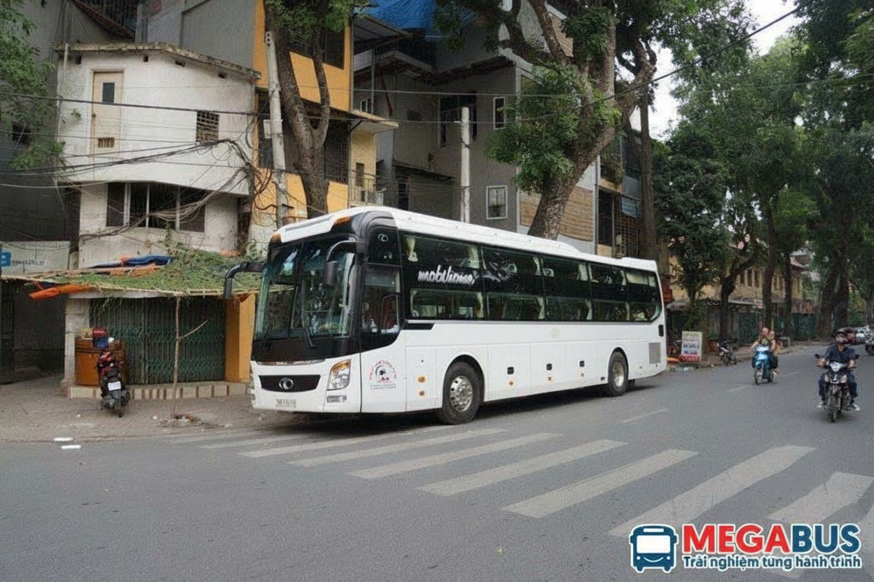 Xe Camel Travel giường nằm