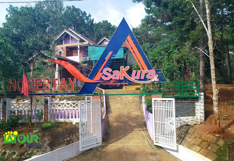 Sakura Homestay