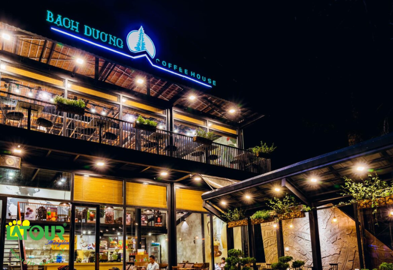Bạch Dương Homestay
