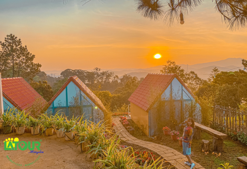 Thông Reo Homestay