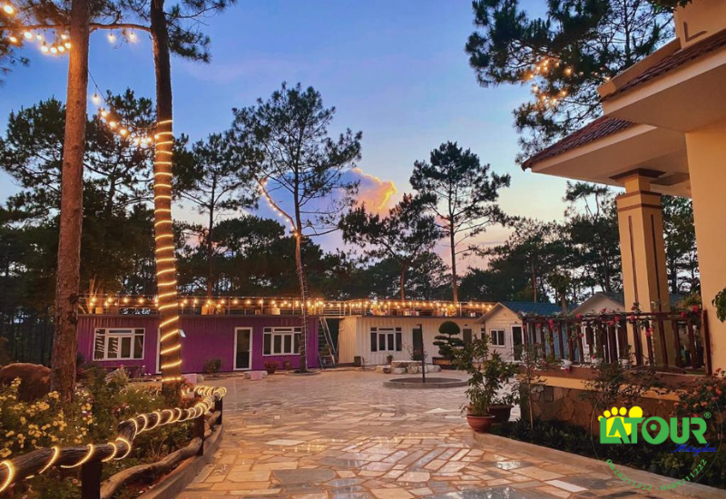 HeniSi Homestay Măng Đen nằm trong lòng rừng thông xanh mát
